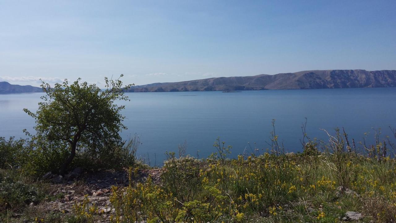 Dalibor Daire Senj  Dış mekan fotoğraf